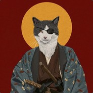 猫猫猛进