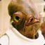 Admiral Ackbar