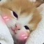 LittleBai