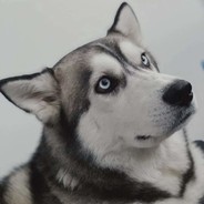 SAKURAESP's Avatar
