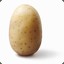 A Regular ol&#039; Potato
