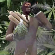 notco