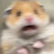 AAAAAAAAAAHHHHHHHH