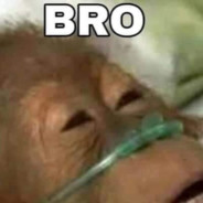 bro
