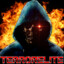 [GFA]TerrorElite ist online