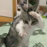 jj.