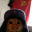 Soviet Cat