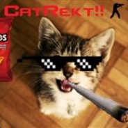 MR.CatRekt