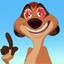 Timon likes LSD