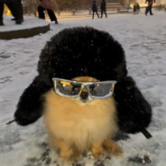 lelek