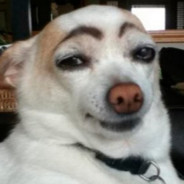 Ser Fynndor's Avatar