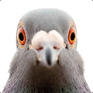 Pigeon · Legend's Avatar