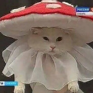 натуська