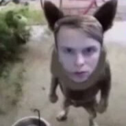 zxcBANDIT
