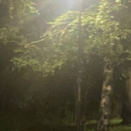 зря я зашёл сюда