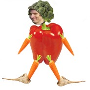 Magse
