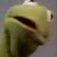 504