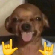 ~Víbora