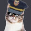 Officer Kitty