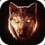 WOLF hellcase.com