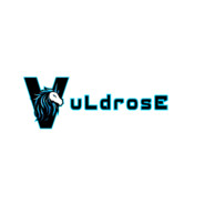 `vuLdrosE WTB CS X0.65