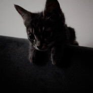 Mochi