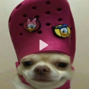 Lipton