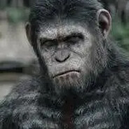 APE