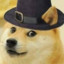 DogeMoney
