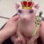 Thepigwizord