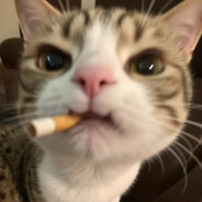 Chi