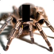 Tarantula avatar