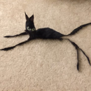 Reolatas