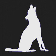 nexcoyocoatl