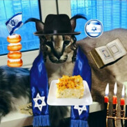 אֱלִישָׁע