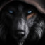 DArk_Wolf