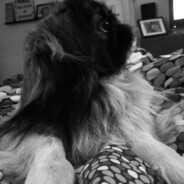 Cupcake<333 avatar