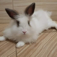 sza banditcamp.com #Rustypot