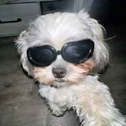 proko