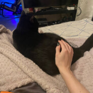 <3