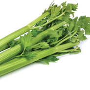 StoolCow