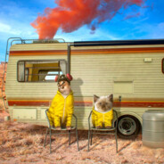 ЯРусский!'s Avatar