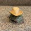 la rana con un sombrero