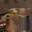 Kermit