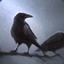 drustanus7