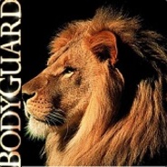 ▶ ▷ BodyGuard ◀ ◁