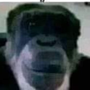 дpyr Nasser 🕷's Avatar