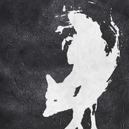The Black Fox's Avatar