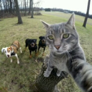 ňøᎮǻŚǻჩǻň