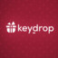Harry Potter Key-Drop.pl